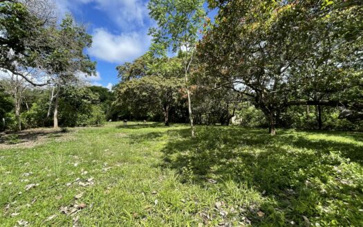 Se vende lote en San Mateo de Orotina