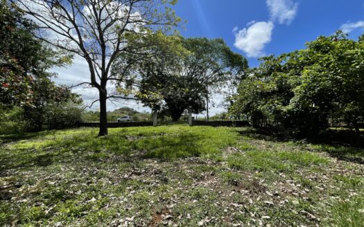 Se vende lote en San Mateo de Orotina