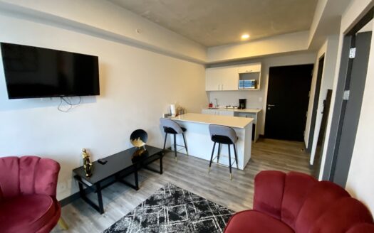 OPORTUNIDAD de inversión apartamento amoblado en Secrt Sabana, San José