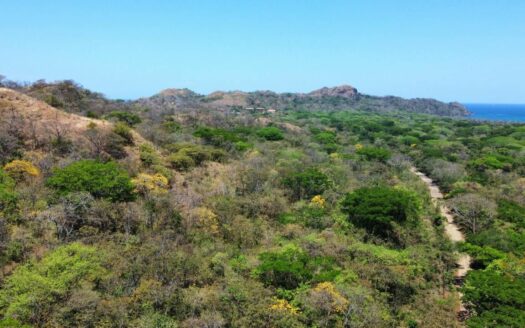 Puerto Viejo Ocean view , Starting price  $190,000 for 1,184m2 , Guanacaste next to Conchal